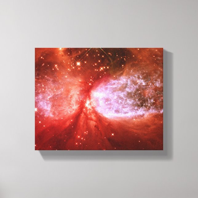 Phoenix Canvastryck (Framsida)