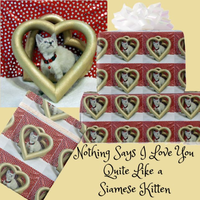 Phoenix, den siamesiska kattungen lyssnar på dig presentpapper (Skapare uppladdad)
