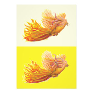 Phoenix - Fågeln som är refödd Fototryck