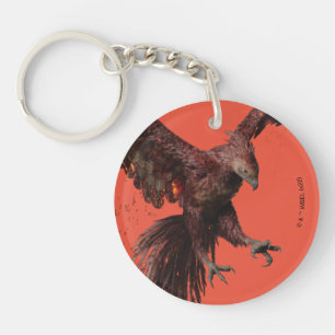 Phoenix Flies Graphic