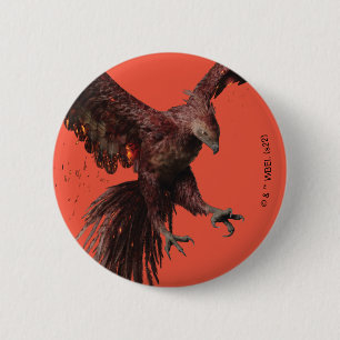 Phoenix Flies Graphic Knapp