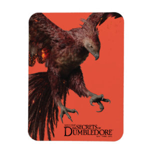 Phoenix Flies Graphic Magnet