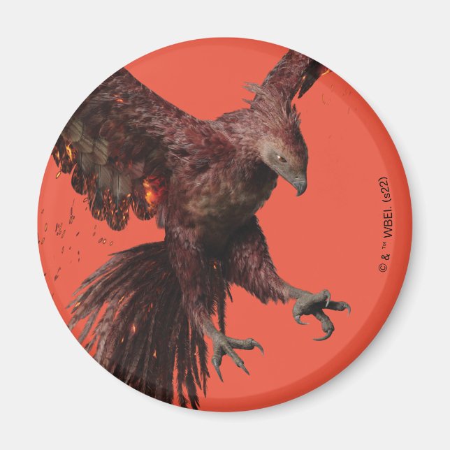 Phoenix Flies Graphic Magnet (Framsidan)