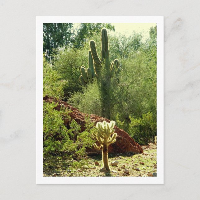 Phoenix Flora Vykort (Framsida)