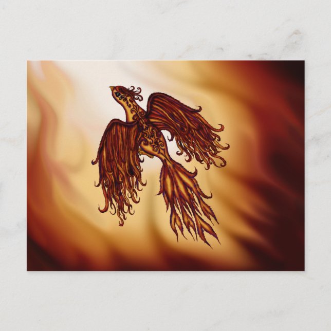 Phoenix Fly Vykort (Framsida)