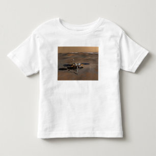 Phoenix fördärvar Lander 3 Tee Shirt