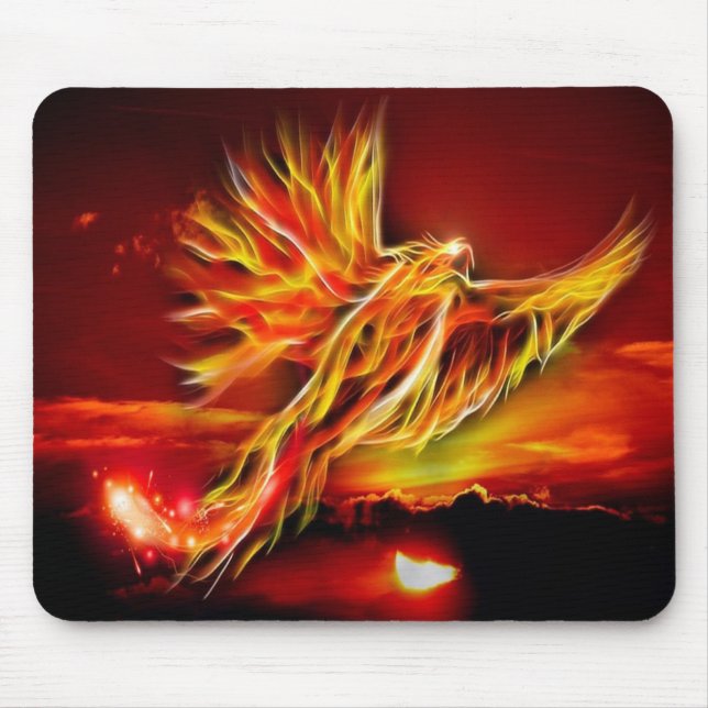 Phoenix Musmatta (Framsidan)