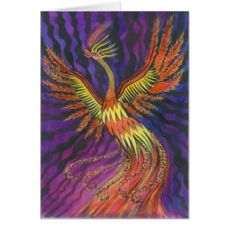 Phoenix OBS Kort