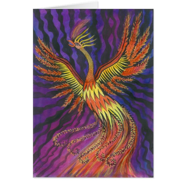 Phoenix OBS Kort (Framsidan)