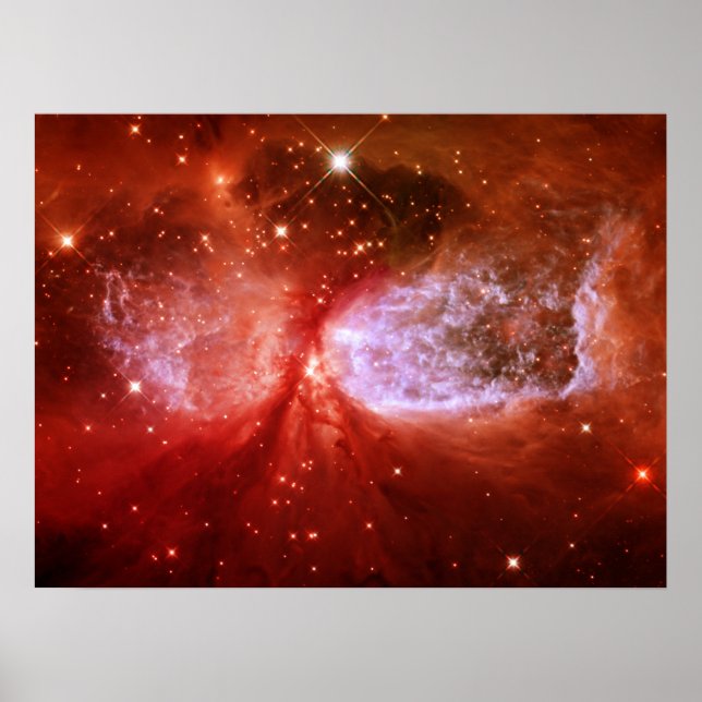 Phoenix Poster (Framsidan)