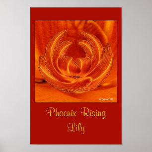 Phoenix resninglilja poster