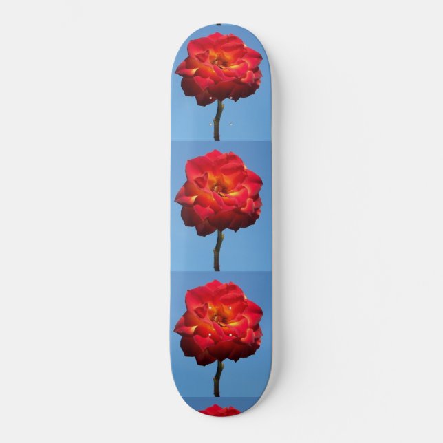 Phoenix Ro i Himlar-skateboard Skateboard Bräda 19,5 Cm (Framsida)