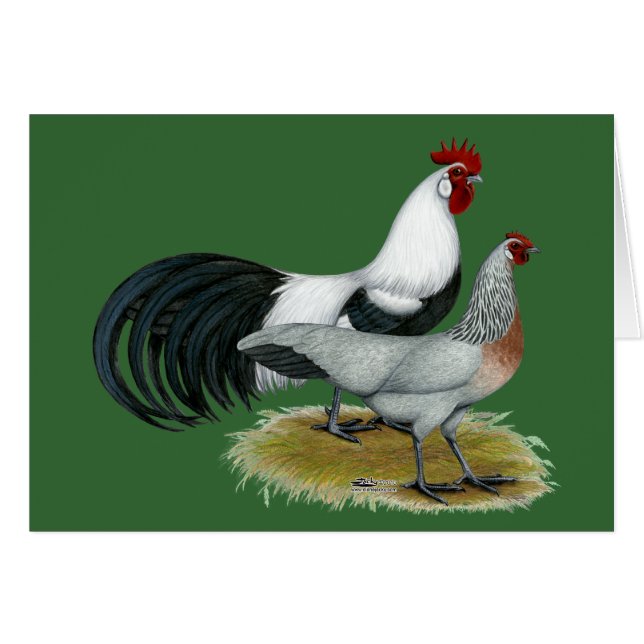 Phoenix:  Silver Duckwing parar Hälsningskort (Framsidan Horizontal)