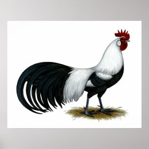 Phoenix: Silver Duckwing Tupp Poster
