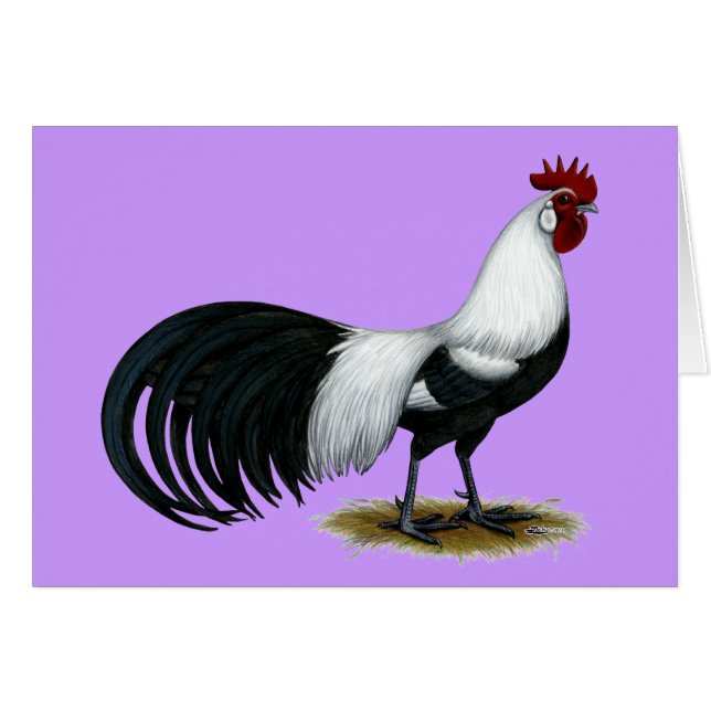 Phoenix:  SilverDuckwing tupp OBS Kort (Framsidan Horizontal)