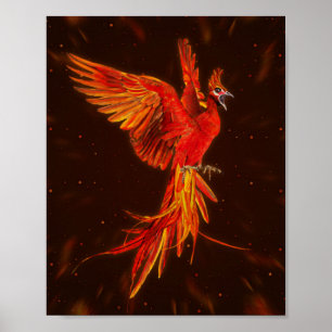 Phoenix Stigning - # 1 Poster
