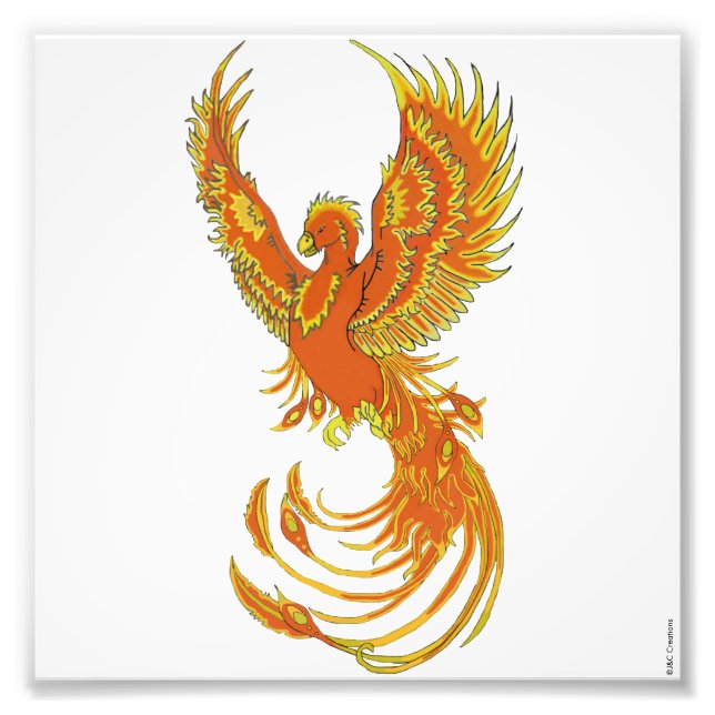 Phoenix Stigning fotoutskrift Fototryck (Framsidan)