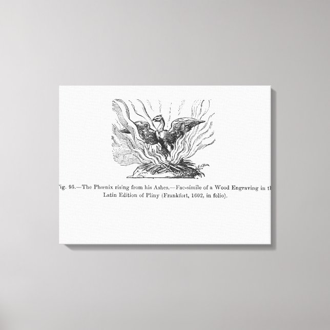 Phoenix stigning från hans aska canvastryck (Framsida)
