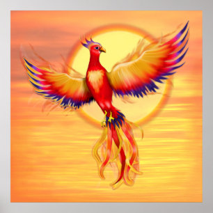 Phoenix Stigning - fyrkant Poster