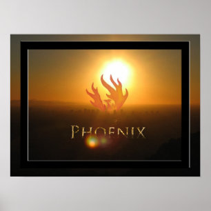 Phoenix Stigning Poster