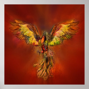 Phoenix Stigning - röd himlar Poster