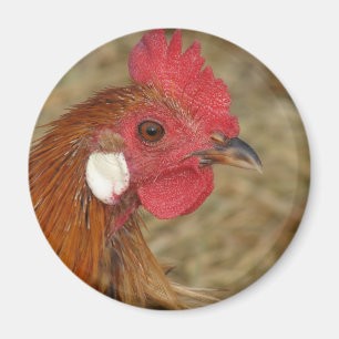 Phoenix Tupp Magnet
