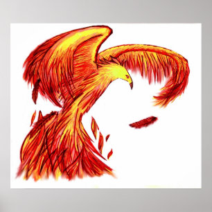 Phoenix-utskrift Poster
