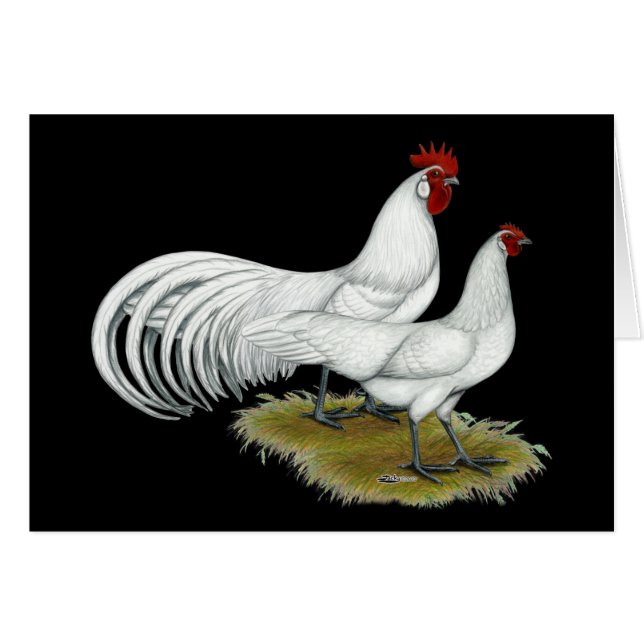 Phoenix: Vit luft OBS Kort (Framsidan Horizontal)