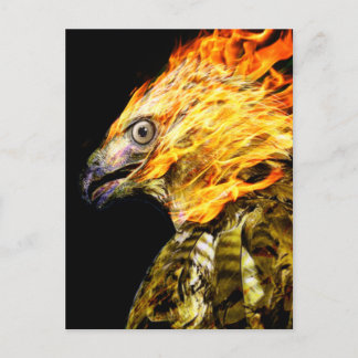 Phoenix Vykort
