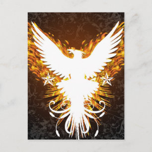 Phoenix Vykort