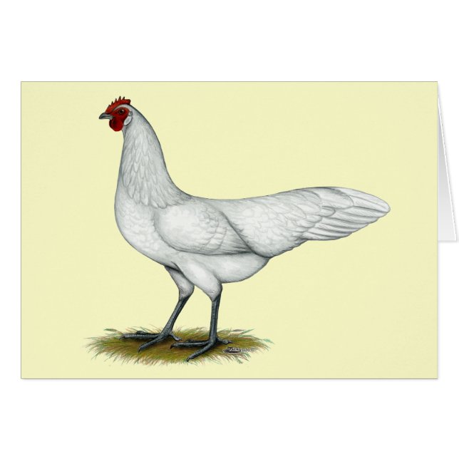 Phoenix: White Hen OBS Kort (Framsidan Horizontal)