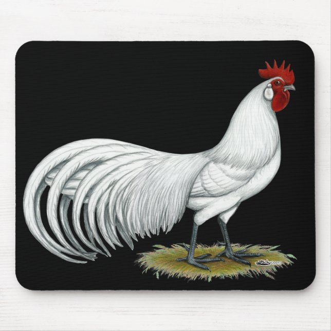 Phoenix: White Tupp Musmatta (Framsidan)