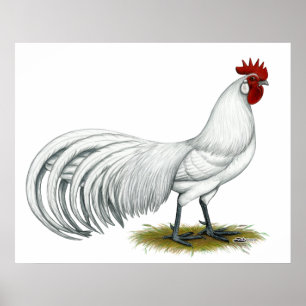 Phoenix: White Tupp Poster