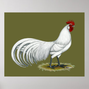 Phoenix: White Tupp Poster