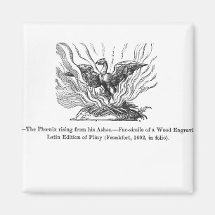 Phoenixen som stigning från hans aska magnet
