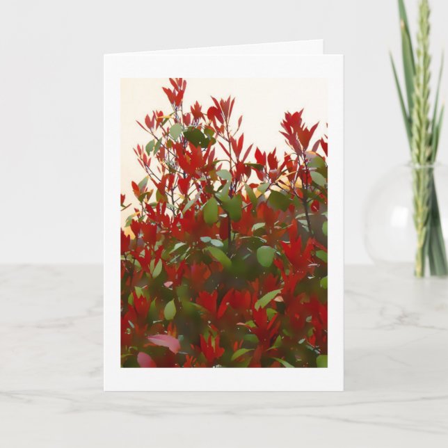 Photinia bush Birthday Kort (Framsida)