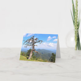 Photo Blue Ridge Mountains Anteckningskort