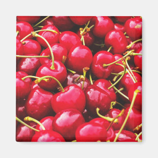 Photo Bright Red Cherries Magnet