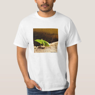 photo by Roque Tee Shirt
