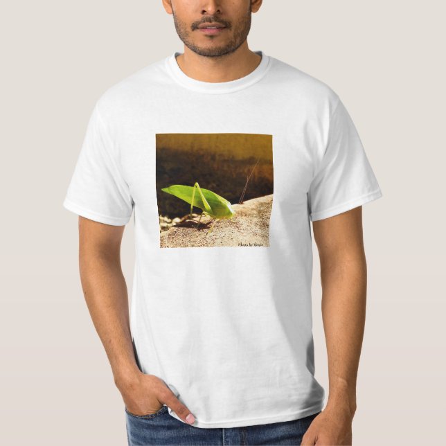 photo by Roque Tee Shirt (Framsida)