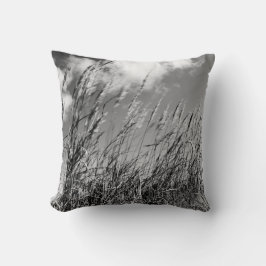 Photo champs de blé kudde