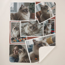 Photo Cluster Brown - 7 spridda foton