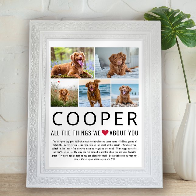 Photo Collage Sak Vi Kärlek om dig Pet Hund Poster (Skapare uppladdad)