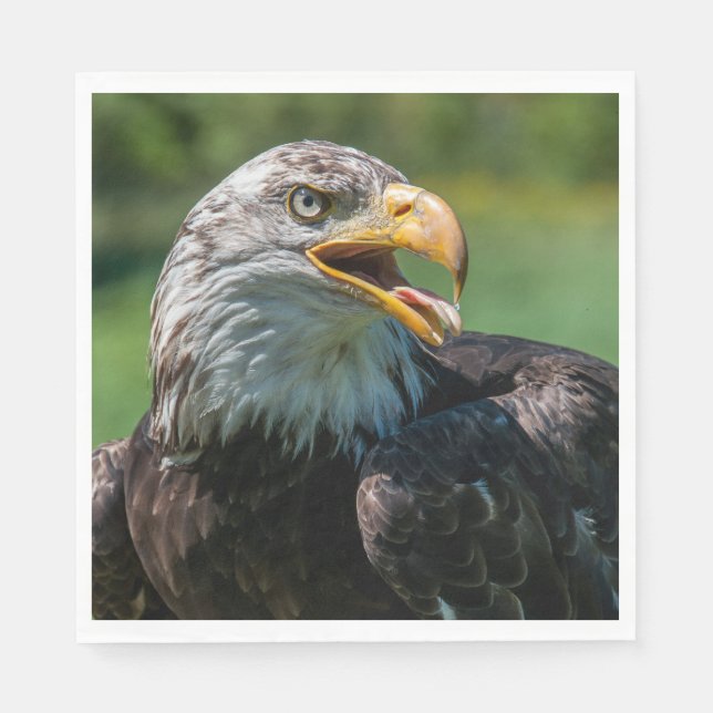 photo d'aigle pappersservett (Framsidan)