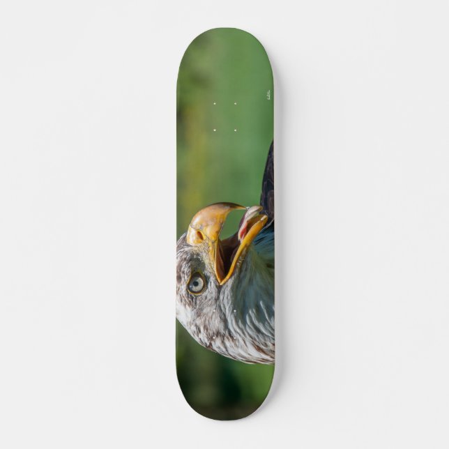 photo d'aigle skateboard bräda 20,5 cm (Framsida)