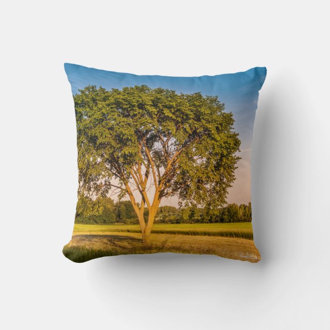 photo d'un arbre dans un champs. kudde (Framsida)