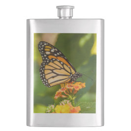 photo d'un papillon sur une fleur fickplunta