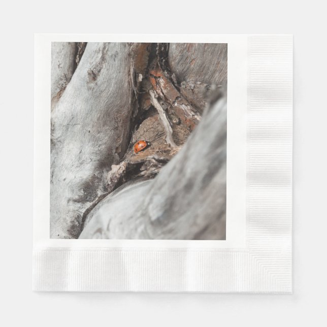 photo d'une coccinelle pappersservett (Framsidan)