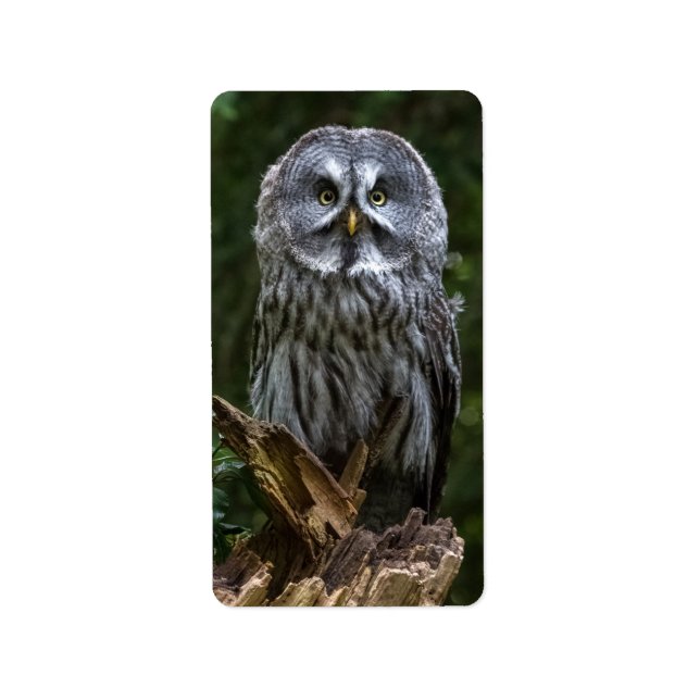 Photo Enlargement Adressetikett (Framsidan)