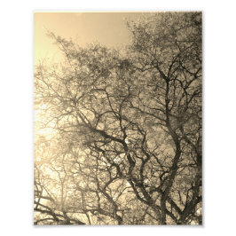 Photo Enlargement Fototryck